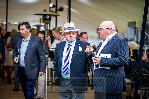 Goffs London Sale 2016-221