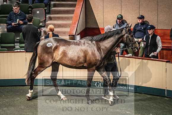 Goffs Land Rover Sale 2022-607