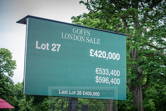 Goffs London Sale 2016-397