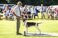 Rydal Hound Show 2022-17