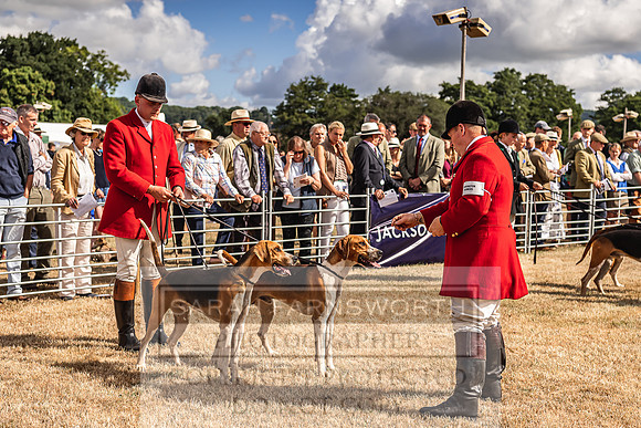 Honiton Hound Show 2022-25