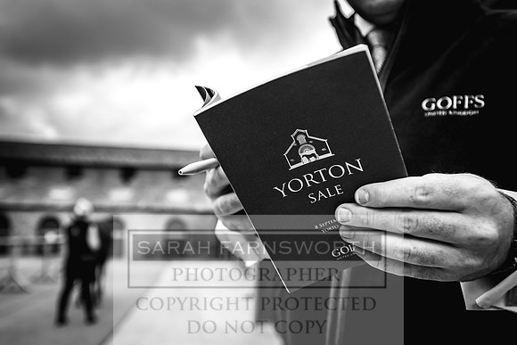 Goffs Yorton Sale 2022-73