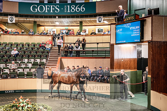 Goffs Land Rover Sale 2022-213