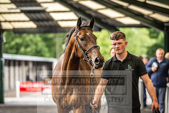 Goffs Land Rover Sale 2022-643