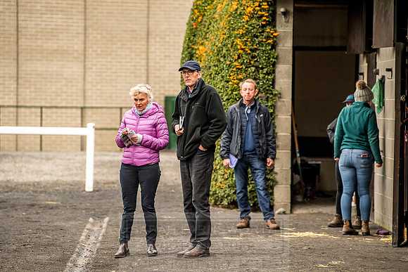 Goffs Orby 2018 Day 1-79