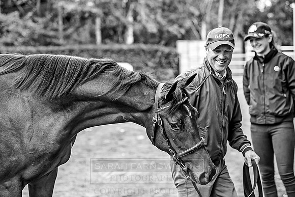 Goffs Orby 2018 Day 1-55