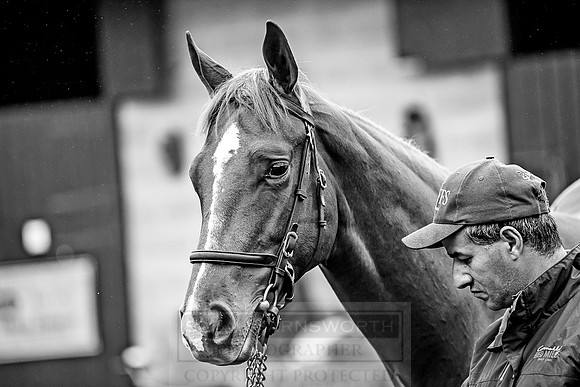 Goffs Orby 2018 Day 2-24