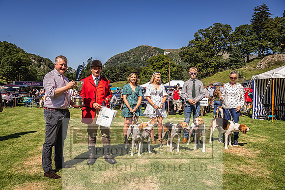Rydal Hound Show 2022-48