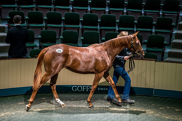 Goffs Orby 2018 Day 2-112