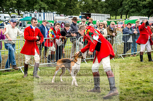 Lowther Hound Show 2017-126