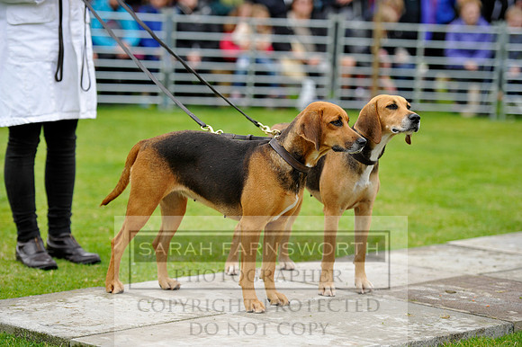 Rydal 2014 CF2 479