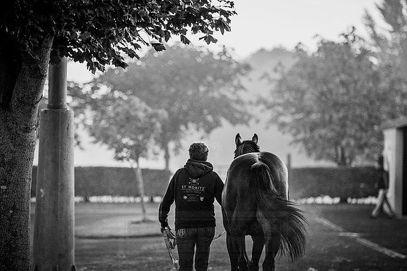 Goffs Orby 2015 -92 bw#