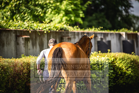 Goffs Land Rover Sale 2022-160
