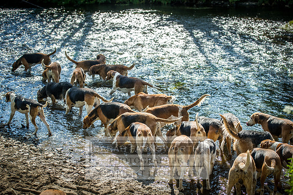 Desmond 040616-238