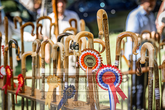 Rydal Hound Show 2022-123