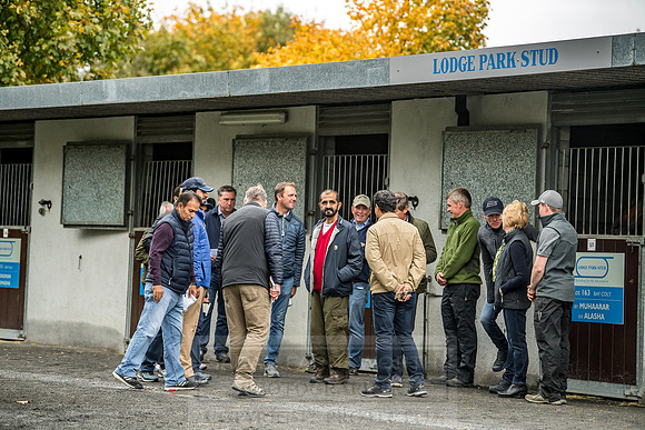 Goffs Orby 2018 Day 1-231