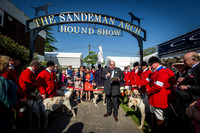 Ardingly Foxhounds 2015-4