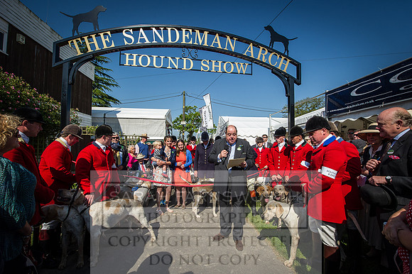 Ardingly Foxhounds 2015-4