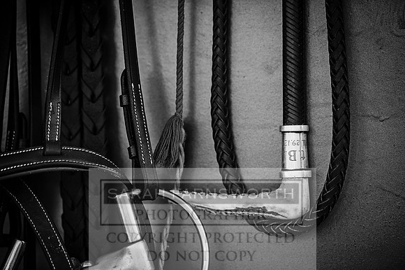 Mooreland Hunt-122 bw