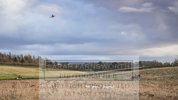 Thurlow at Heythrop 130319-685