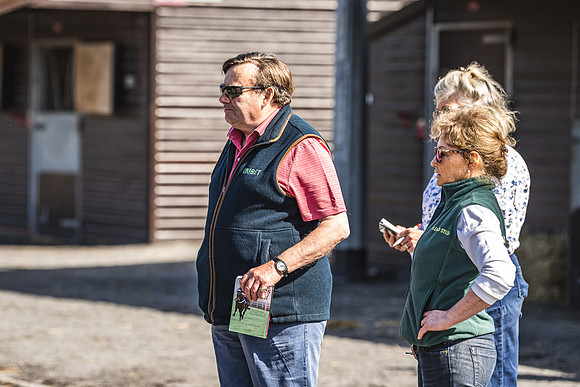 Goffs UK Spring Sale 22 Day 2-4