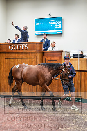 Goffs UK PY24-240