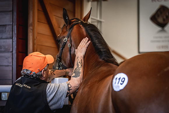 Goffs UK Breeze Up 2022-309