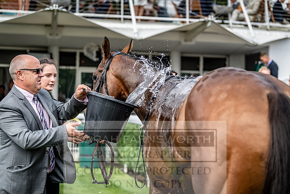 GUK Goodwood Sale 2019-113