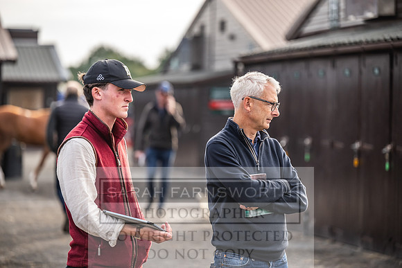Goffs UK PY24-271