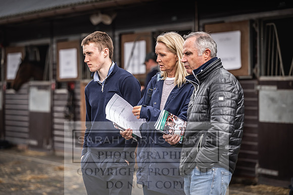 Goffs UK Spring Sale 2024-154
