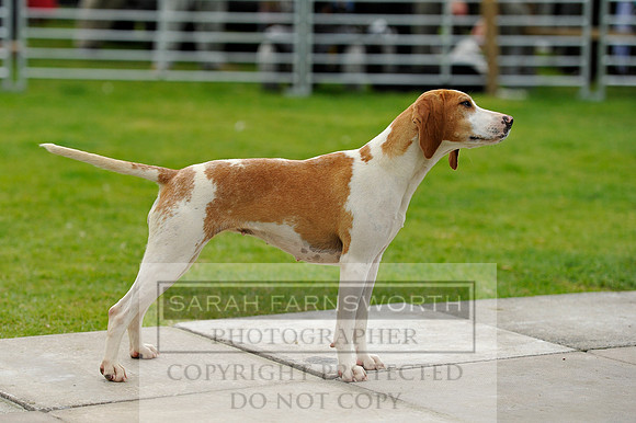 Rydal 2014 CF2 822