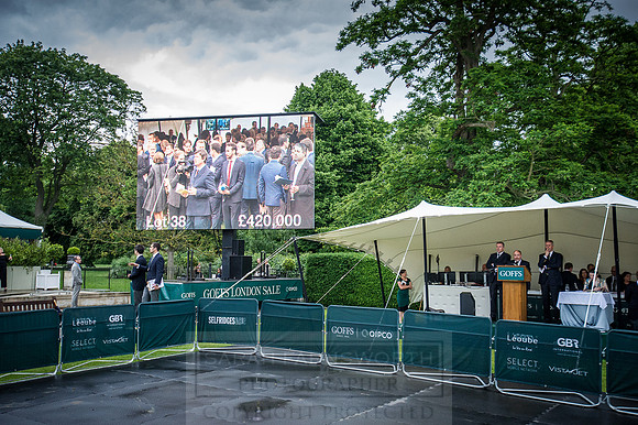 Goffs London Sale 2016-442