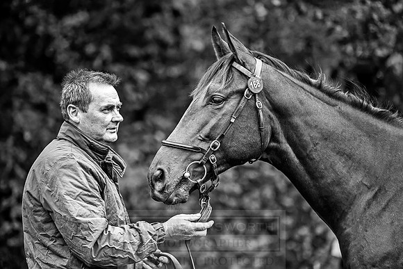 Goffs Orby 2018 Day 1-320