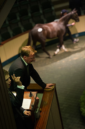Goffs Orby14 CF10 252