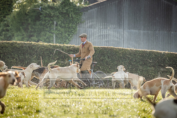 Heythrop Kennels-11