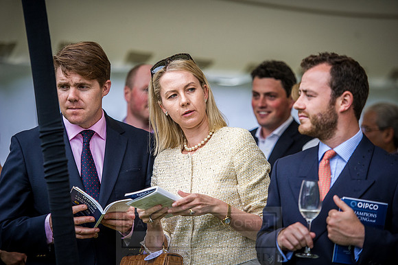 Goffs London Sale 2016-295