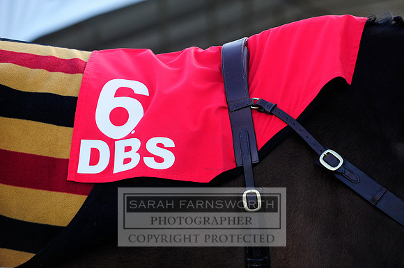 DBS NHFS12 153