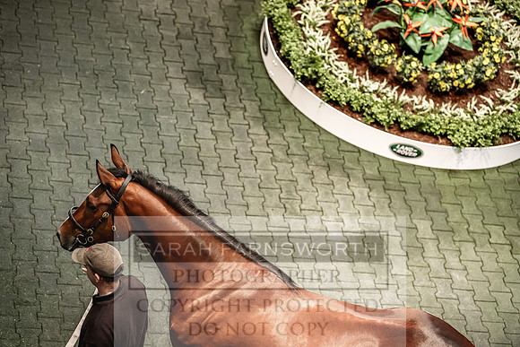 Goffs Land Rover Sale 2022-173