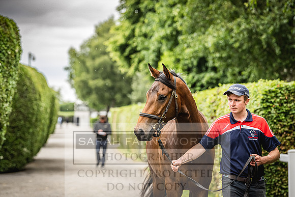 Goffs Land Rover Sale 2022-462