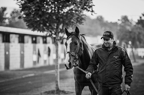 Goffs Orby 2015 -101 bw