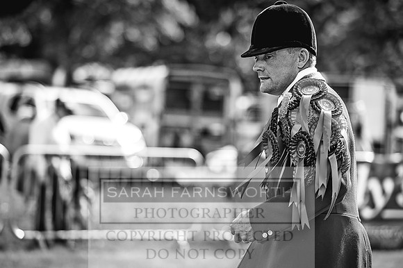 Lowther Hound Show 2017-112