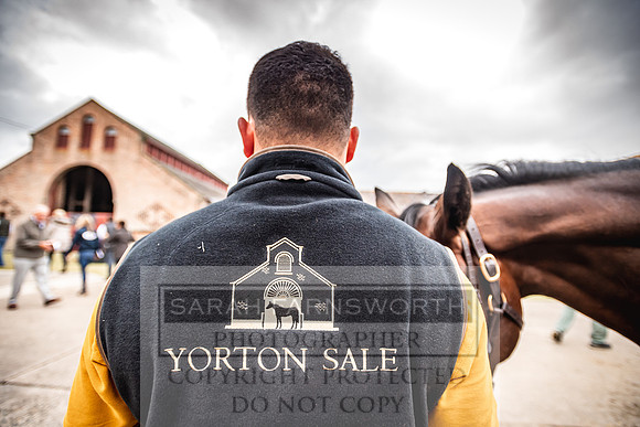 Goffs Yorton Sale 2022-100