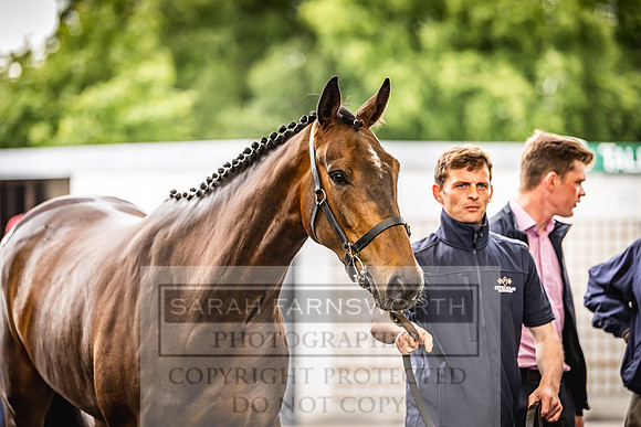 Goffs Land Rover Sale 2022-414