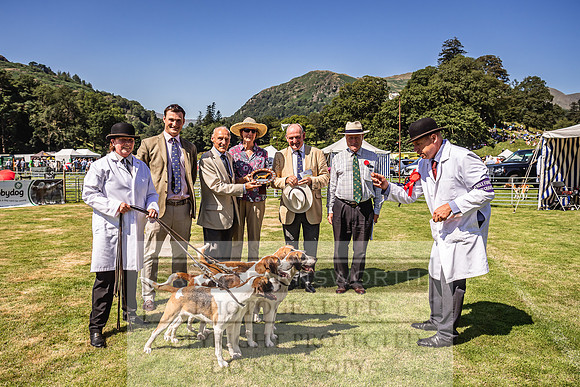 Rydal Hound Show 2022-101