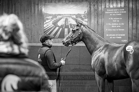 Goffs Orby 2018 Day 1-433