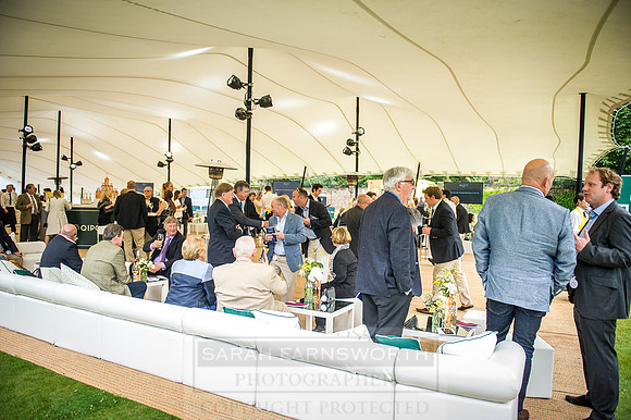 Goffs London Sale 2016-115