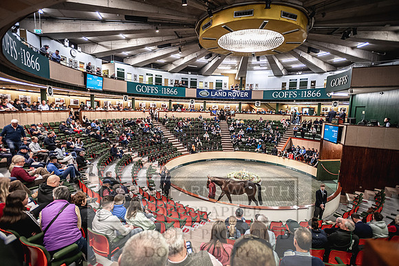Goffs Land Rover Sale 2022-279