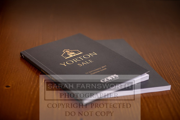GUK Yorton Sale 2019-20