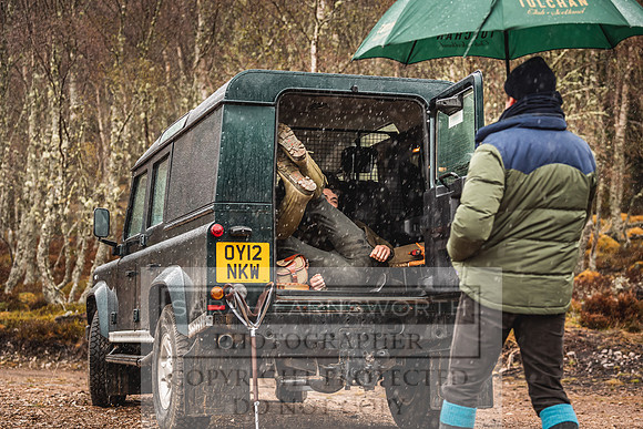 Purdey AW21-8