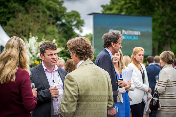 Goffs London Sale 2016-114
